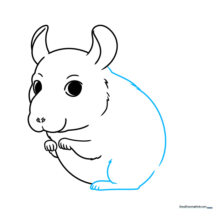 Adding the back and rear leg to the chinchilla, emphasizing fur texture at the joints.