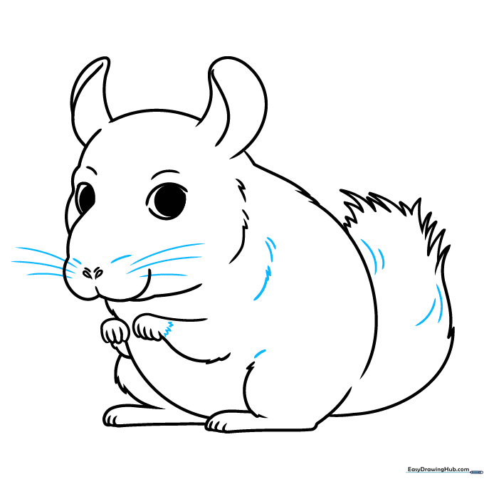 Finalizing the chinchilla drawing with whiskers and fur texture lines.