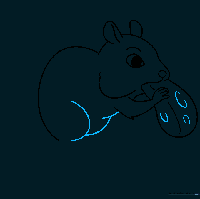Drawing the upper leg structure of the chipmunk.