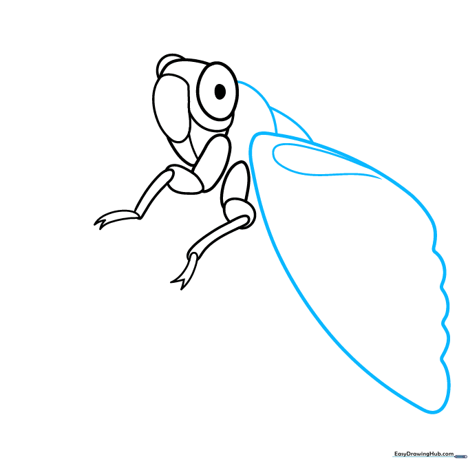 Outline of the cicada's large, triangular wing and main body segments.