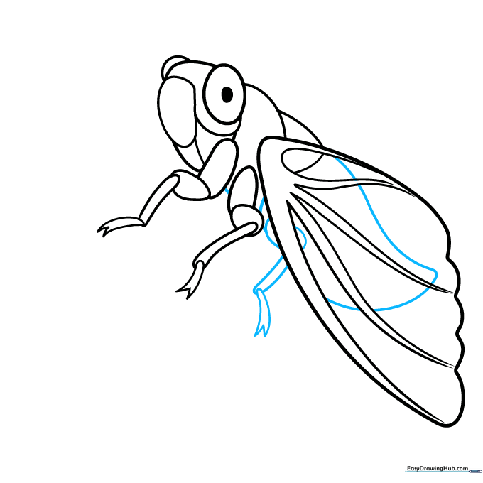 Drawing the lower body segments and the final leg of the cicada.