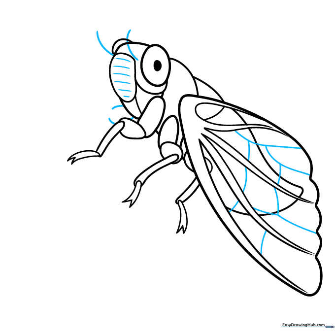 Adding fine details like antennae and secondary wing veins to the cicada sketch.