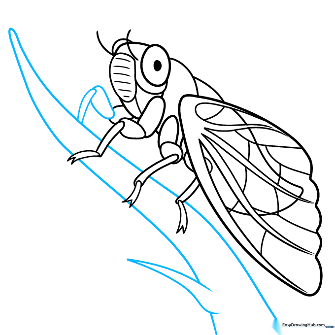 The cicada perched on a tree branch, showing the full body and leg placement.