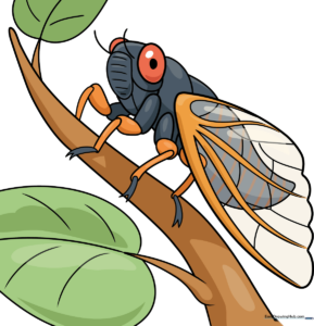 A finished, colorful cicada drawing resting on a branch, perfect for nature-themed art projects.
