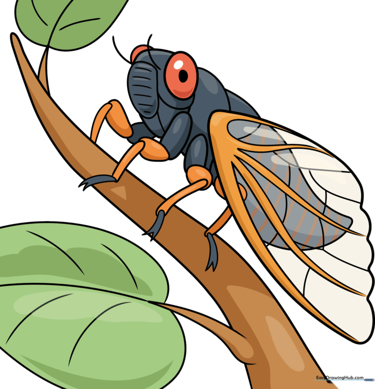 A finished, colorful cicada drawing resting on a branch, perfect for nature-themed art projects.