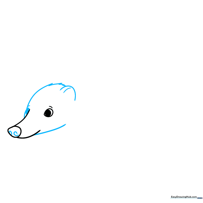Drawing the coati head shape with jagged fur lines and a single ear.