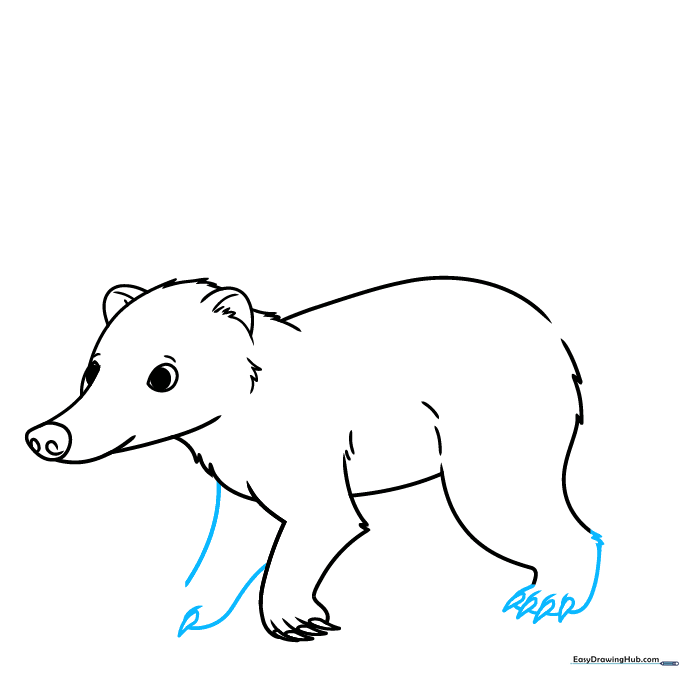 Drawing the rear paw and starting the second front leg.