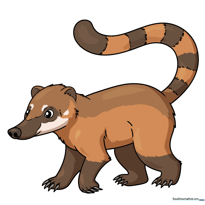 A fully colored, cute cartoon coati.