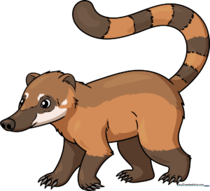 A vibrant, finished drawing of a coati standing in a jungle setting.