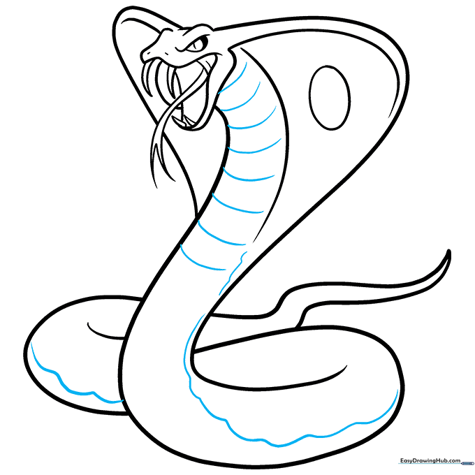 Adding texture lines to the neck and belly of the cobra.
