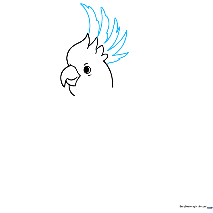 Adding height to the cockatoo's crest with elongated, sweeping curved lines.