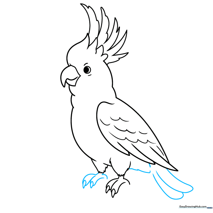 Sketching the long, flowing tail feathers and the second foot of the cockatoo.