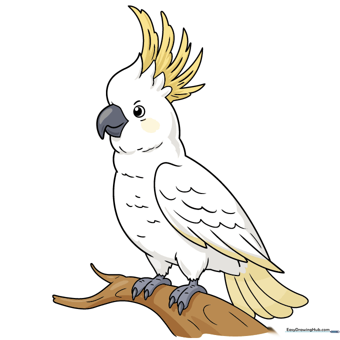 A fully colored, vibrant cockatoo drawing with yellow crest feathers and a gray beak.