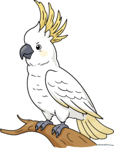 A vibrant, finished illustration of a cockatoo with a yellow crest, used as the featured image for the drawing tutorial.