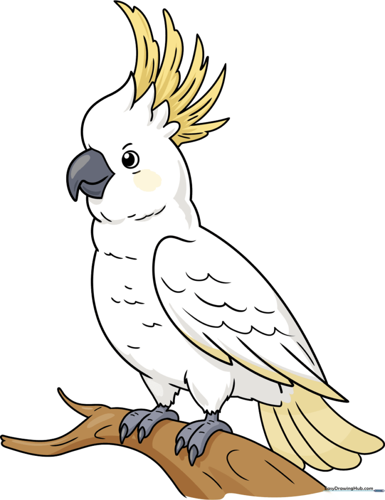 A vibrant, finished illustration of a cockatoo with a yellow crest, used as the featured image for the drawing tutorial.