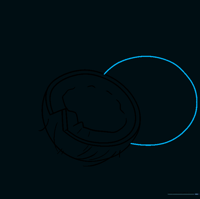 Adding a second, partially hidden coconut shape to the composition.