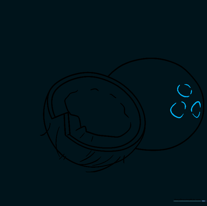 Drawing the three characteristic germination pores on the coconut shell.