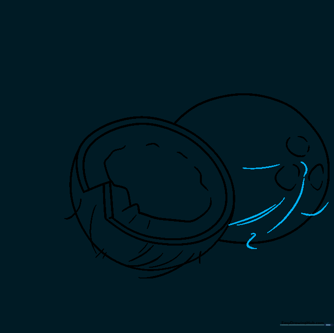 Adding long, fibrous texture lines to the second coconut.