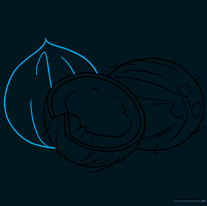 Adding a third coconut to the drawing to create a complete fruit arrangement.
