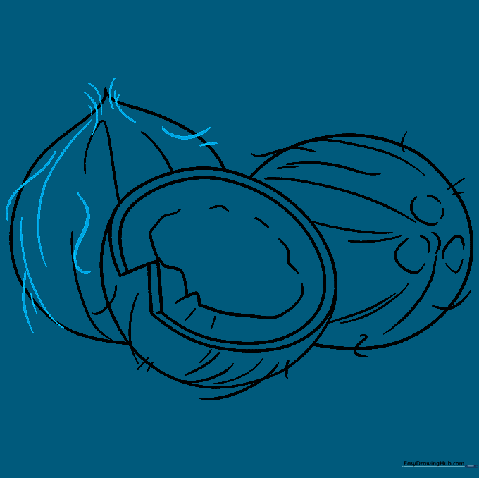 Finalizing the outline and adding finishing texture details to the third coconut.