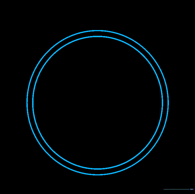 Three concentric circles drawn to illustrate the depth and rim of a compass casing.