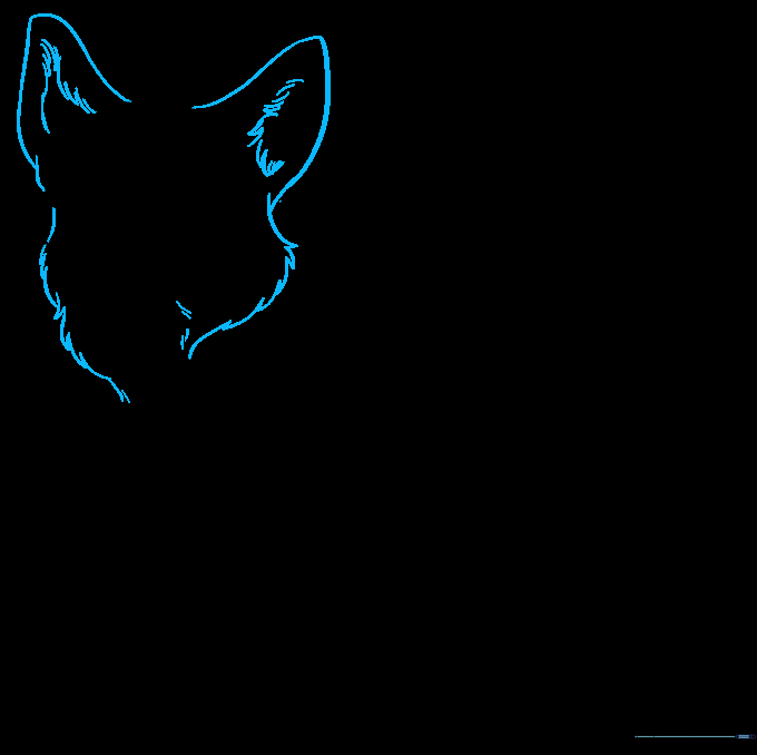 Adding large triangular ears and a fluffy neck ruff to the Corgi sketch.