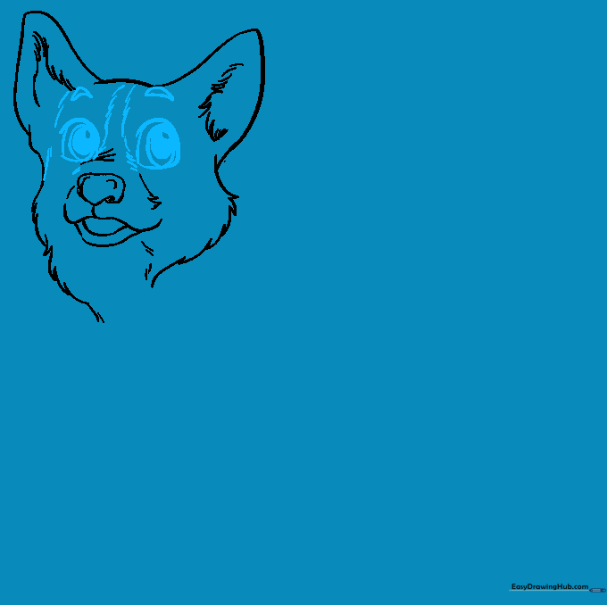 Adding expressive eyes, pupils, and a facial stripe to the Corgi drawing.