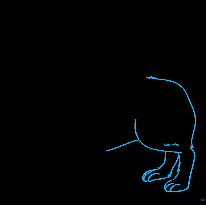 Adding the belly, hip, and hind legs to the Corgi body outline.