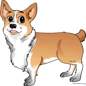 A friendly, finished cartoon Corgi drawing, showcasing the final result of the tutorial.