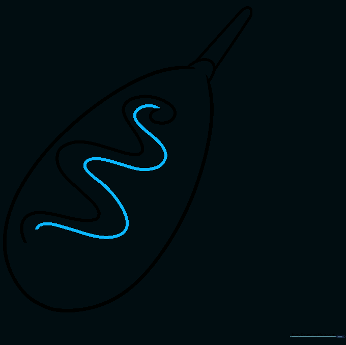 The corn dog with two parallel wavy lines creating a thick sauce effect.