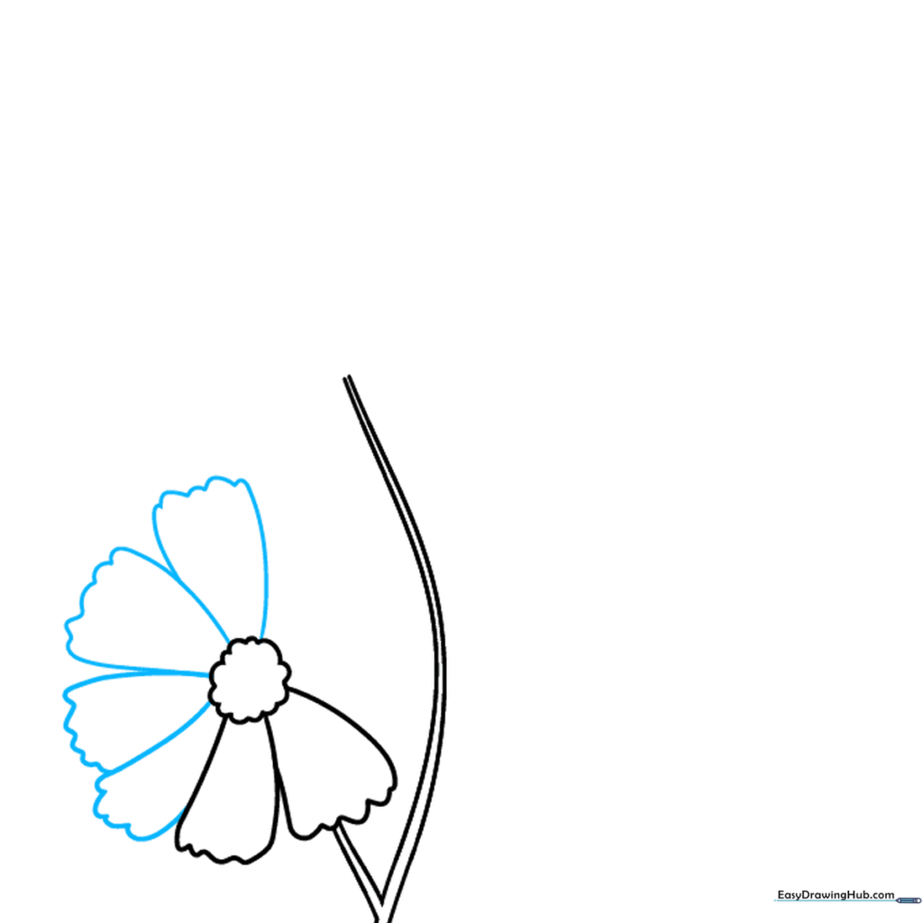 Adding the first set of petals around the flower center using curved lines and wavy edges.