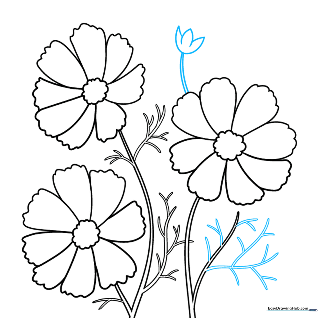Drawing an unopened cosmos flower bud at the end of a stem.