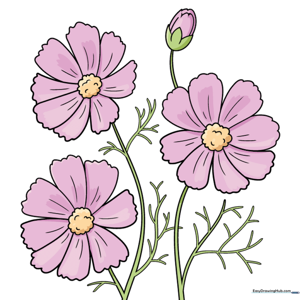 A fully colored, vibrant illustration of three cosmos flowers.
