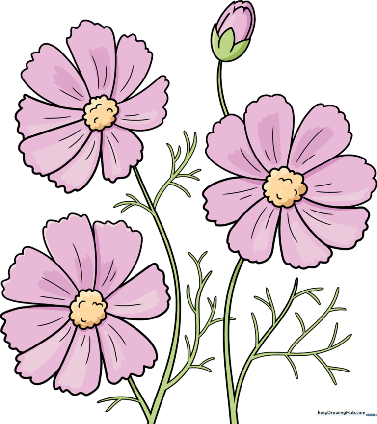 A colorful, finished drawing of a group of cosmos flowers in a garden setting.