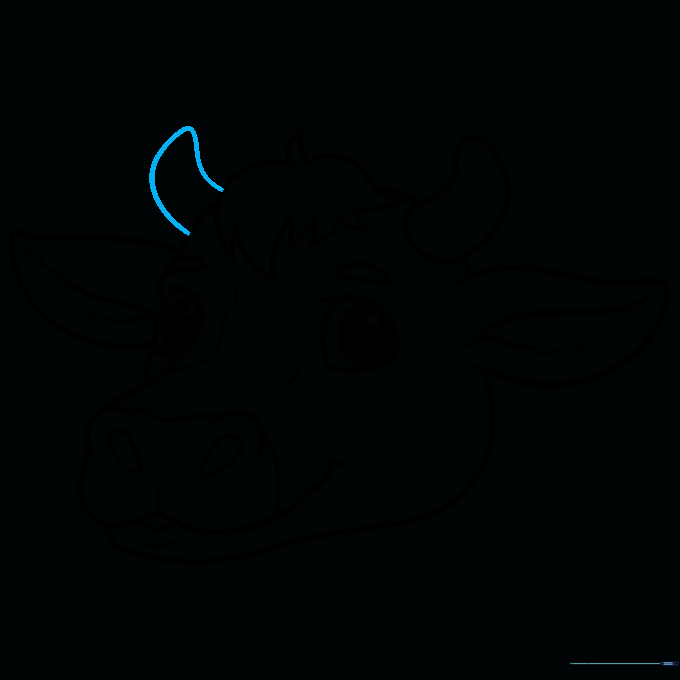Final ink outline of the complete cow face drawing