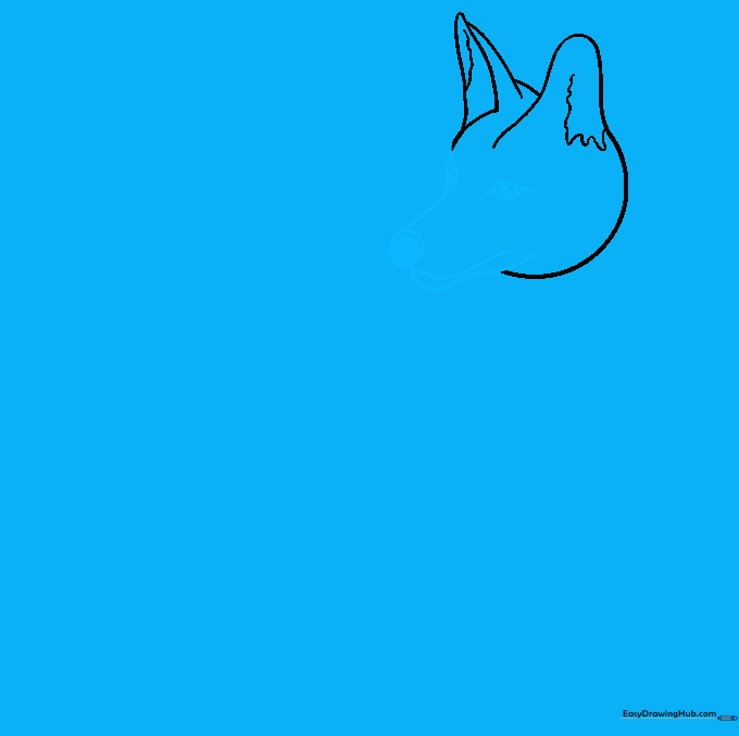 Detailed coyote face with a defined snout, nose, and expressive eyes.