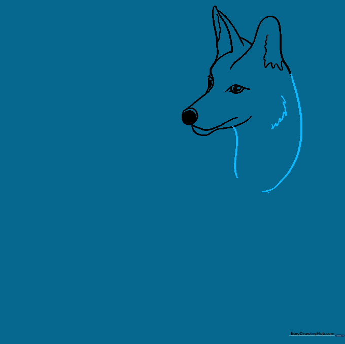 Coyote head and neck outline with jagged lines indicating fur texture.