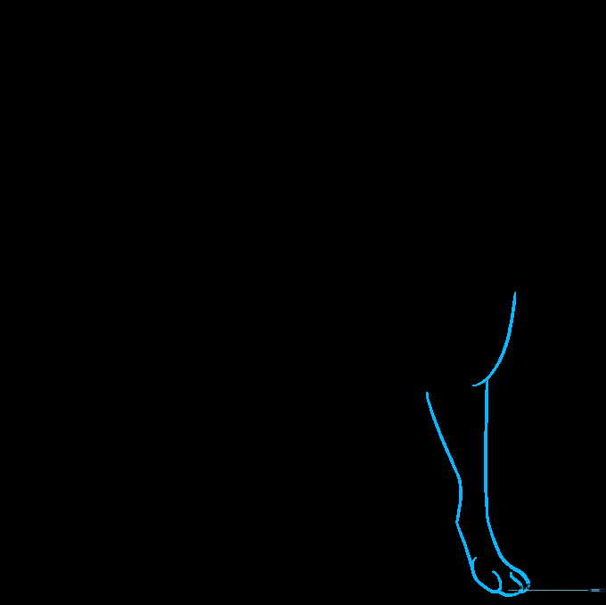 Coyote torso outline with the first front leg and paw clearly defined.