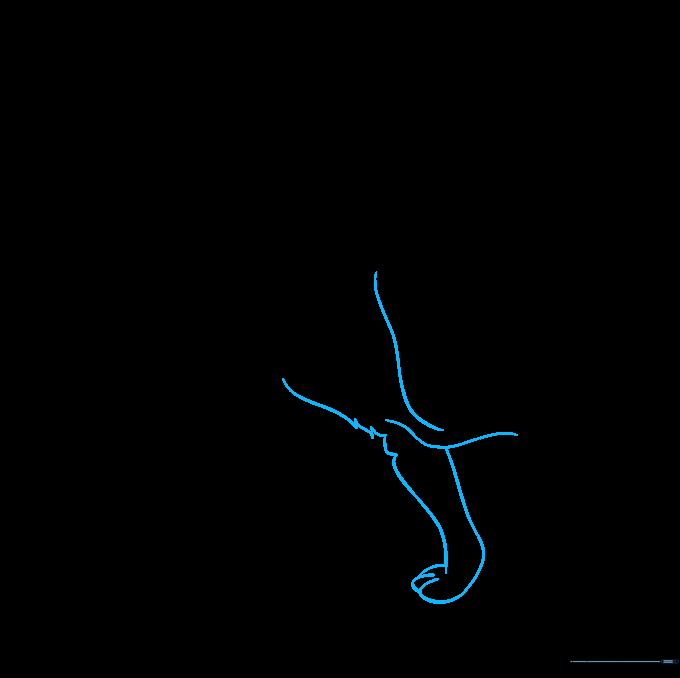 Coyote body outline showing both front legs and chest fur details.