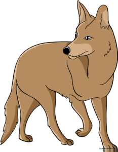 A completed, vibrant illustration of a cartoon coyote, showcasing the final result of the drawing tutorial.