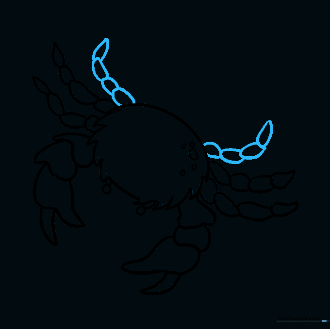Drawing the second set of legs, making them slightly shorter than the first set.