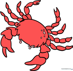 A colorful, finished crab drawing, perfect for kids to use as a reference.