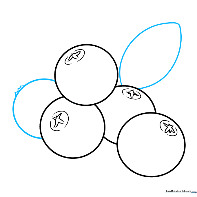 Sketching a leaf extending from the side of the cranberry cluster.