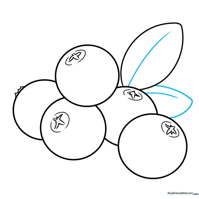 Drawing veins down the center of the leaves for added detail.