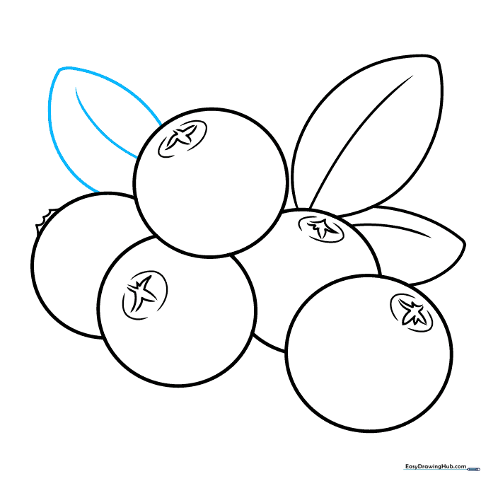 Adding a third leaf to the cranberry cluster sketch.