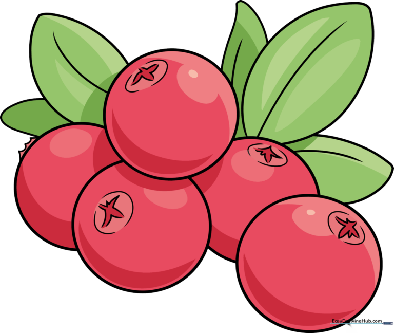 Colorful illustration of a cranberry cluster, perfect for holiday art projects.