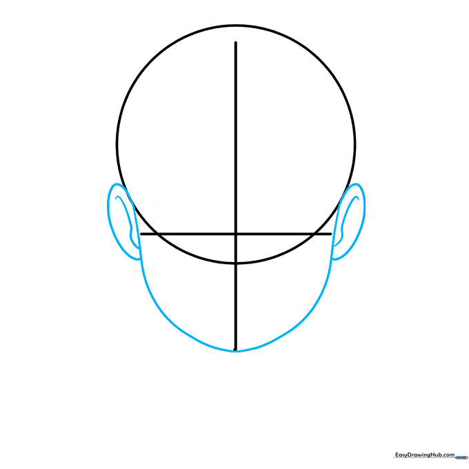 Drawing the jawline and ears attached to the head circle.