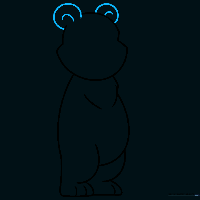 Drawing two small, rounded ears on the bear's head.
