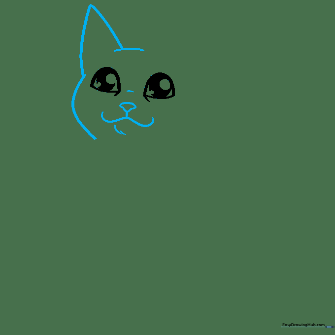 Drawing the cat's head shape, including the ears, nose, and mouth contours.