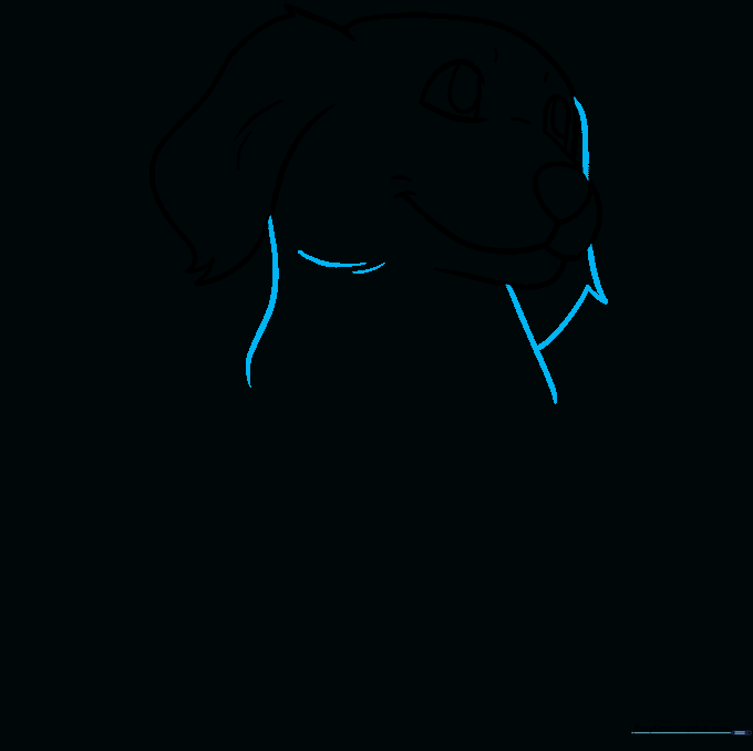Pencil sketch showing the puppy's neck and the second floppy ear added to the head.